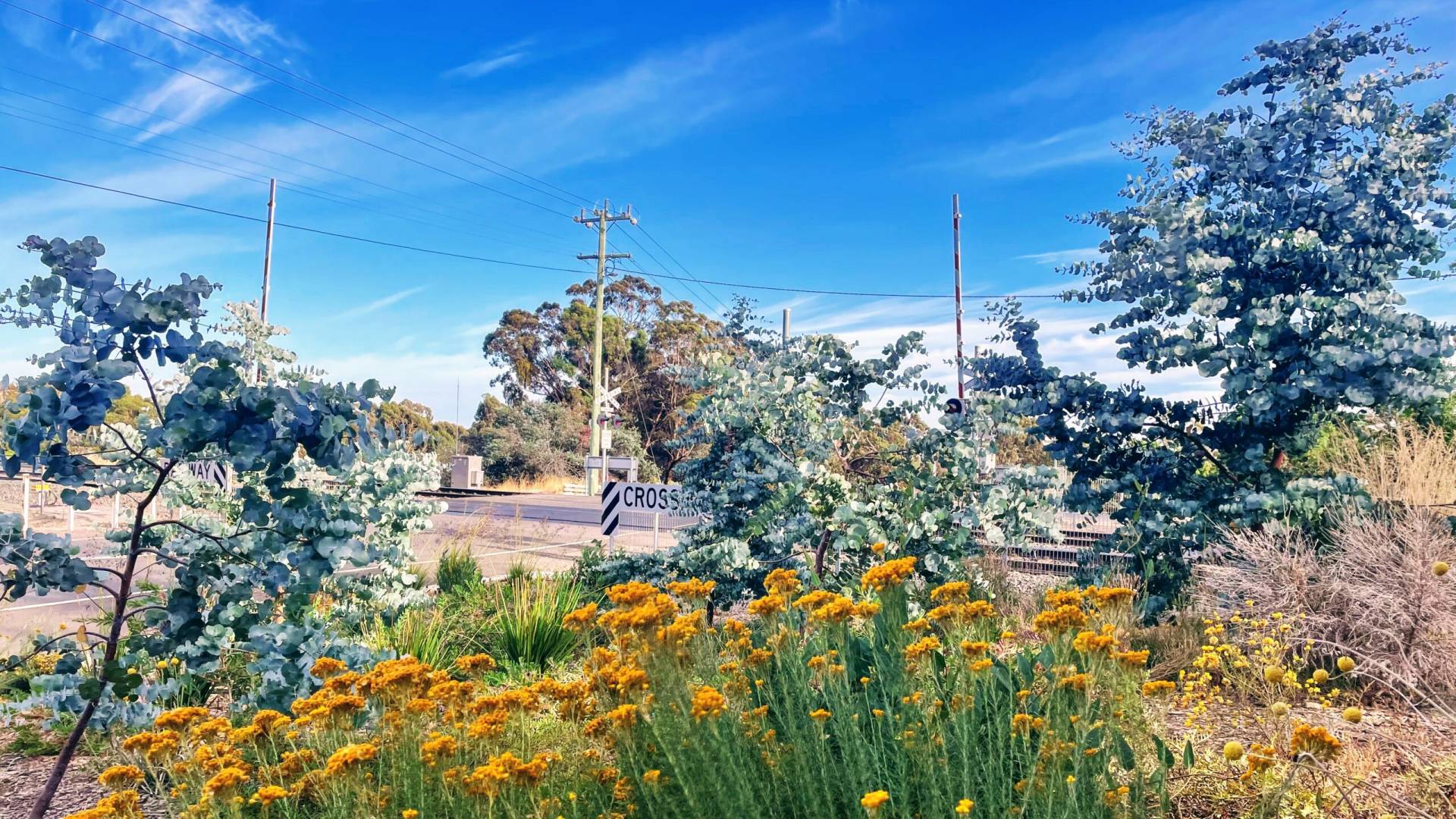 ELPHINSTONE, VICTORIA Community site managed by the Elphinstone